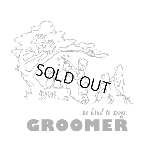 画像1: 指掛けセット　　(シルバー) (1)