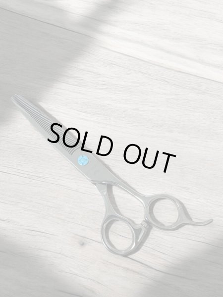 画像2: サクサクセニング４６目 (2)