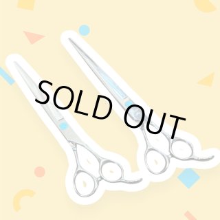 ハサミ - トリミングシザー （鋏）BEARDS (Page 1)